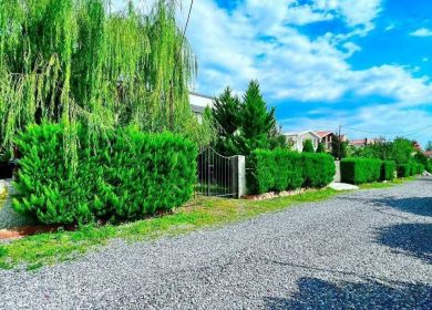 خرید زمین در نور قواره ۲۰۰ متری آماده ساخت | ۲۰۰ متر