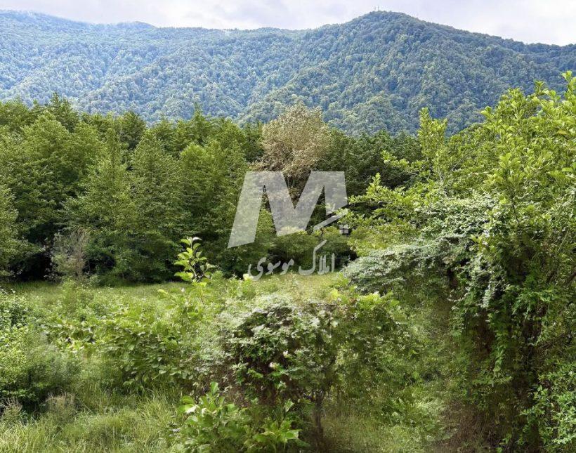 خرید ویلا نما انگلیسی 500 متری داخل شهرک برند | 500 متر