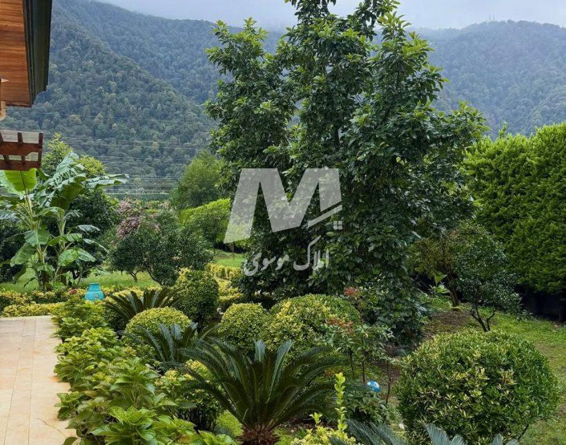 خرید پارک ویلای 6000 متری ویو ابدی کوهستان | 6000 متر