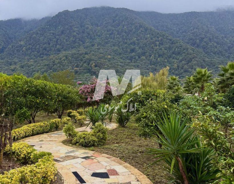 خرید پارک ویلای 6000 متری ویو ابدی کوهستان | 6000 متر
