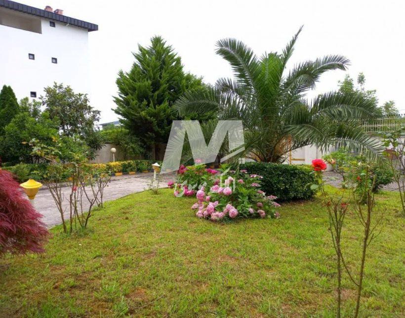 خرید پارک ویلای 1700 متری پلاک صفر جنگلی سند عرصه و عیان | 1700 متر