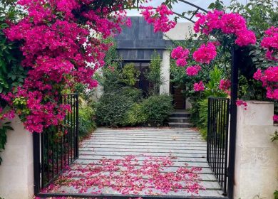 خرید ویلا نقلی 150 متری داخل شهرک جاده چمستان به آمل | 150 متر