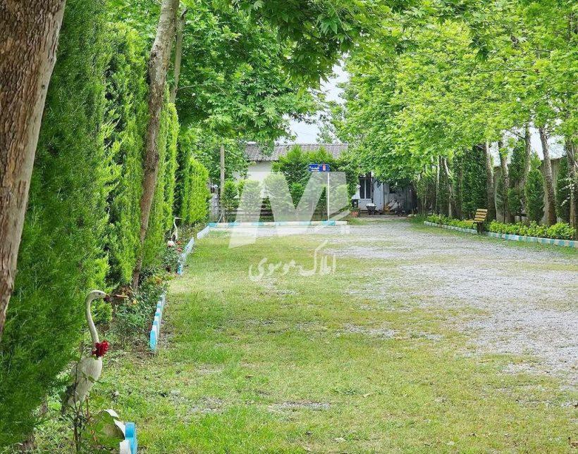 خرید باغ ویلای 1000 متری نزدیک جنگل با سند تک برگ | 1000 متر