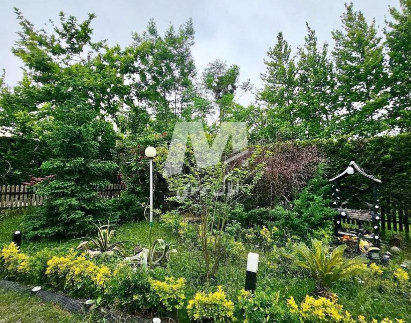 خرید باغ ویلای 1000 متری نزدیک جنگل با سند تک برگ | 1000 متر