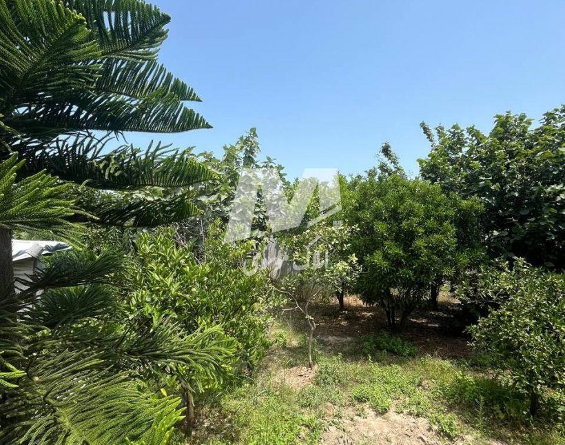 خرید ویلا باغ ۷۰۰ متری تاپ ترین لوکیشن سعادت آباد | ۷۰۰ متر