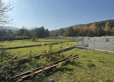 خرید زمین قطعه ۱ جنگل قیمت کاسبی در جوربند چمستان | ۲۰۰ متر
