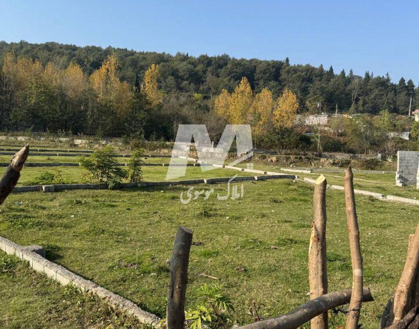 خرید زمین قطعه ۱ جنگل قیمت کاسبی در جوربند چمستان | ۲۰۰ متر