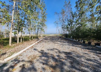 خرید زمین در چمستان قواره ۲۵۰ متری | ۲۵۰ متر