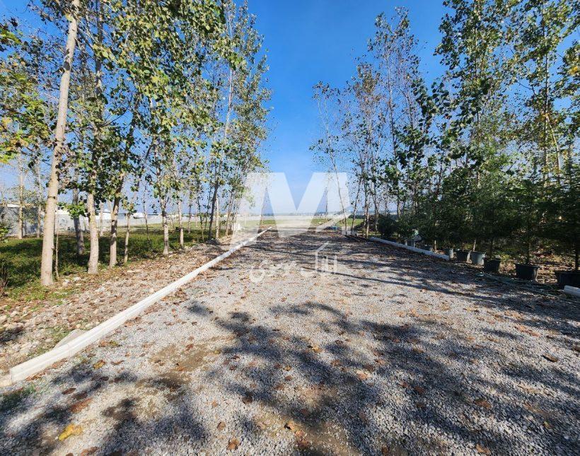 خرید زمین در چمستان قواره ۲۵۰ متری | ۲۵۰ متر