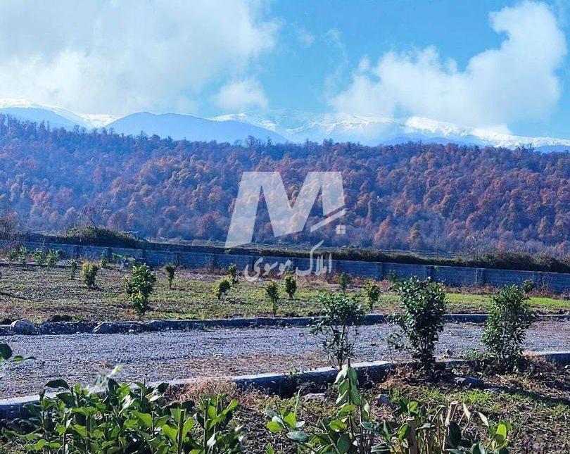 خرید ویلا در رویان ۲۰۰ متری سند دار ویوی جنگل | ۲۰۰ متر