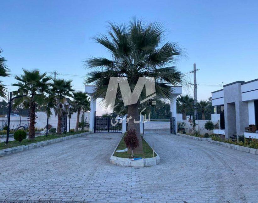 خرید زمین شمال ۵۷۰ متری تا ۱۰۰۰ متری | ۵۷۰ متر