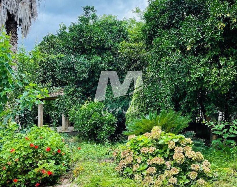 فروش ویلا باغ 320 متری استخردار سند شش دانگ چمستان | 320 متر