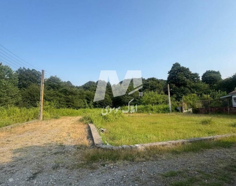 خرید زمین ۲۰۰ متری جنگلی نعمت آباد چمستان | ۲۰۰ متر