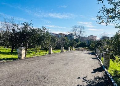 خرید زمین شهرکی از ۱۵۰ متر به بالا در دشت نور | ۱۵۰ متر