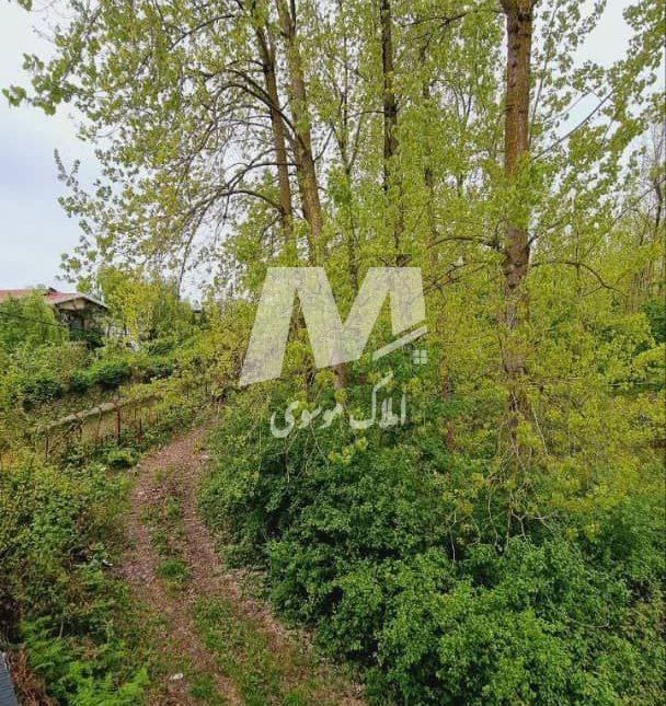 خرید ویلا در چمستان منطقه جنگلی جوربند ۳۰۰ متری با سند | ۳۰۰ متر