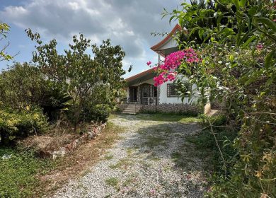 فروش ویلا شمال ۶۰۰ متر زمین در منطقه جنگلی آپادانا | 600 متر