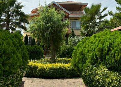 خرید ویلا باغ ۶۰۰ متری در جلیکان چمستان | ۶۰۰ متر