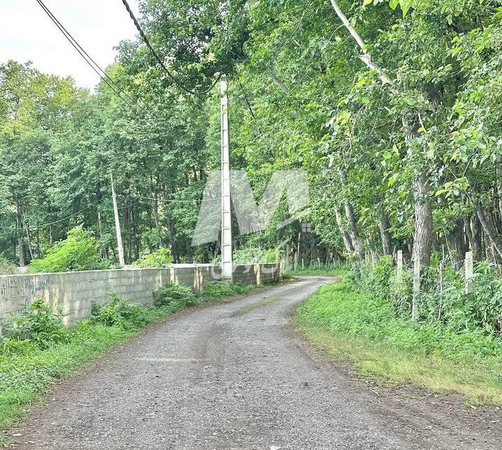 خرید باغ ویلای ۴۰۰ متری قطعه ۱ جنگل در سعادت آباد چمستان | ۴۰۰ متر