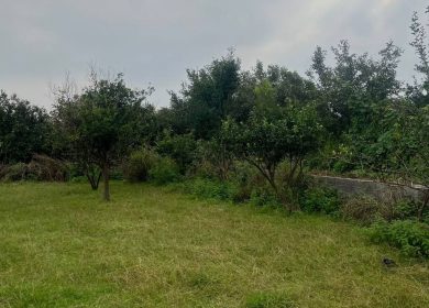 فروش زمین 500 متری تبدیل به قطعات کوچکتر مدارک کامل | 500 متر