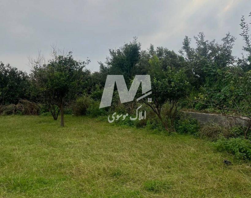 فروش زمین 500 متری تبدیل به قطعات کوچکتر مدارک کامل | 500 متر