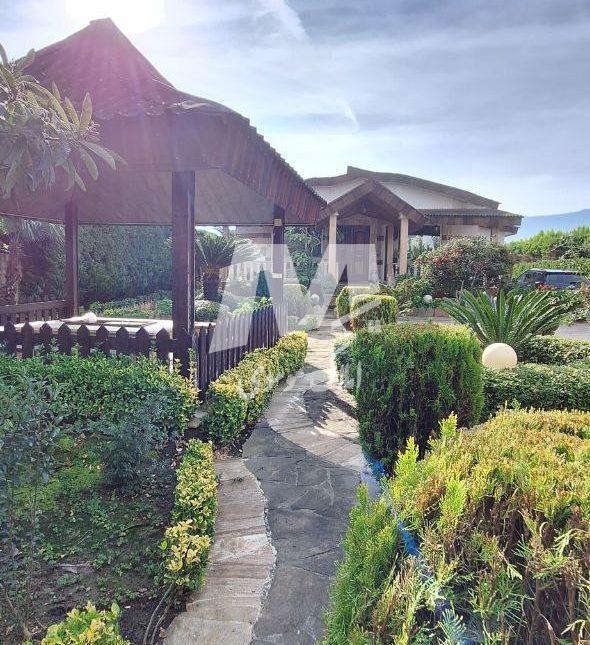 خرید ویلا باغ ۱۲۰۰ متری در افراسیاب کلا نور | ۱۲۰۰ متر