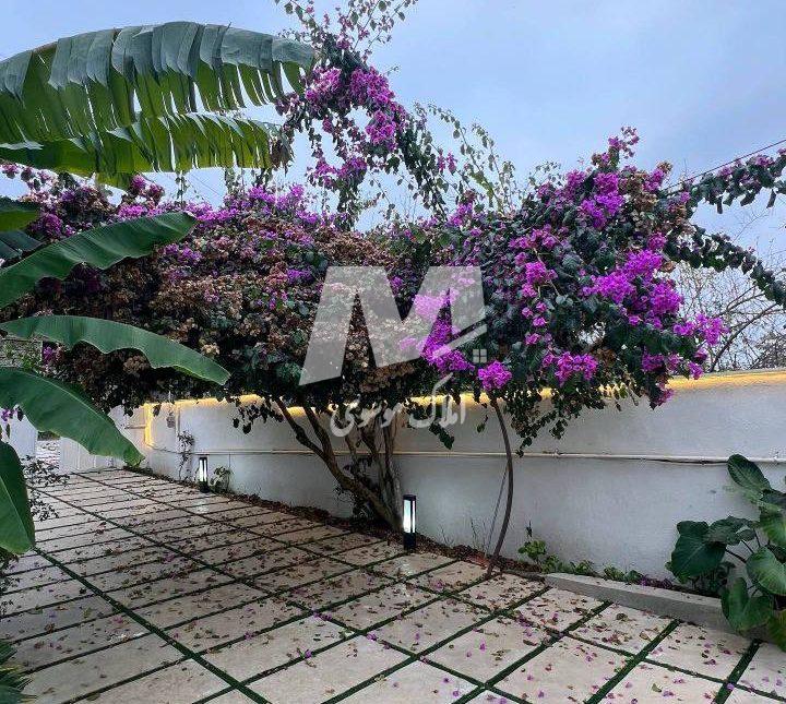 خرید ویلای ۴۰۰ متری مبله با سند ۶ دانگ و پروانه جاده دریا | ۴۰۰ متر