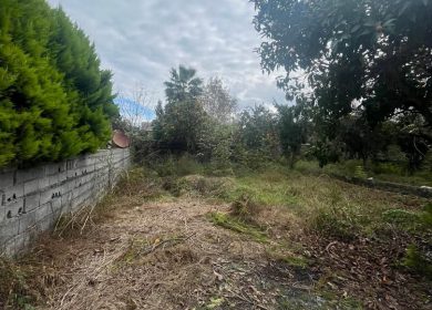 خرید زمین شهرکی ۲۹۰ متری در کرد آباد چمستان | ۲۹۰ متر