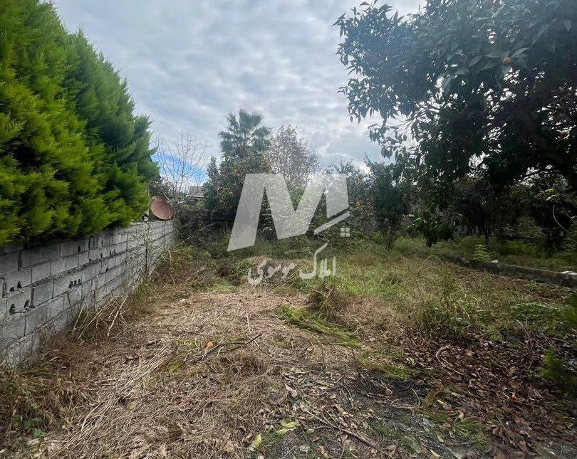 خرید زمین شهرکی ۲۹۰ متری در کرد آباد چمستان | ۲۹۰ متر