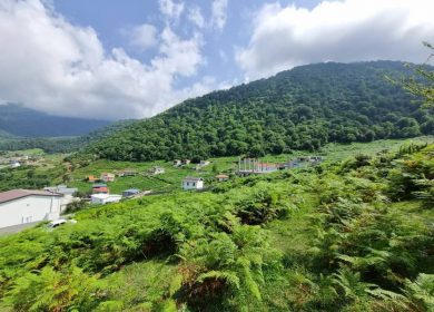 خزید زمین ۳۲۰ متری قابل ساخت در لاویج چمستان | ۳۲۰ متر