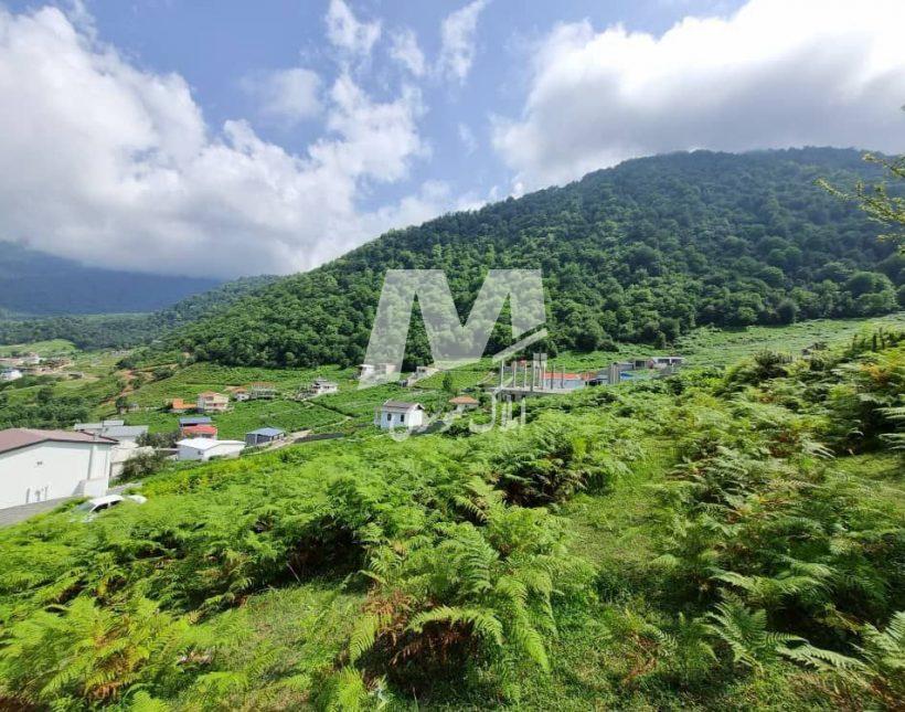 خزید زمین ۳۲۰ متری قابل ساخت در لاویج چمستان | ۳۲۰ متر