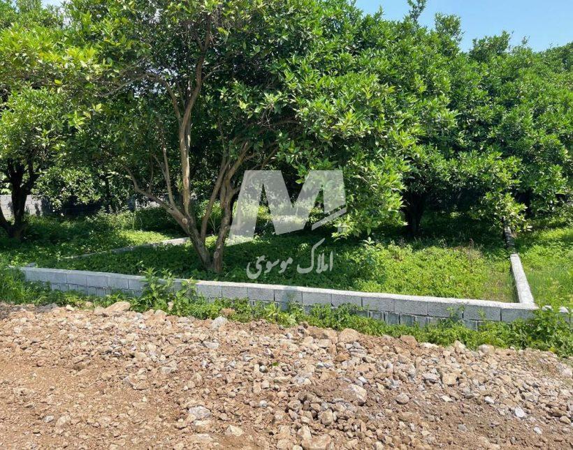 خرید زمین شهرکی داخل بافت در خطیب کلا چمستان | ۱۵۰ متر