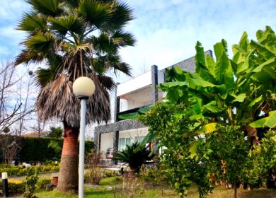 خرید ویلا باغ 1000 متری در نور