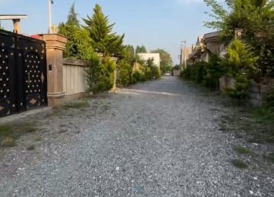 خرید زمین ۳۰۰ متری در شمال | ۳۰۰ متر