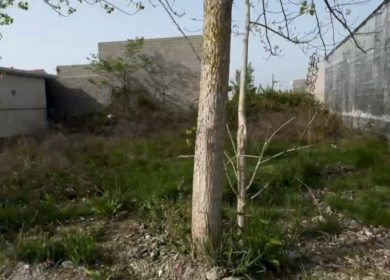 خرید زمین ۲۳۰ متری به شرط ساخت آهودشت چمستان | ۲۳۰ متر