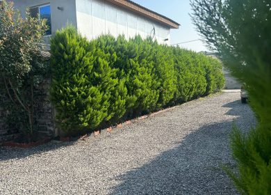 فروش زمین سند دار قابل ساخت با انشعابات منطقه نور | 348 متر