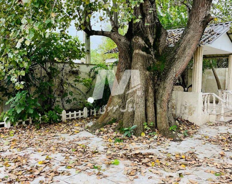 خرید ویلا باغ 700 متری نعمت آباد چمستان | 700 متر