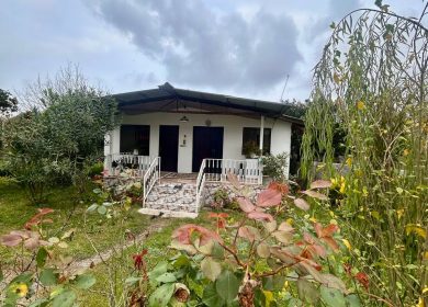 فروش ویلا باغ روستایی 600 متری نور | 600 متر