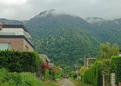 فروش قطعه ۳۰۰ متری چسبیده به جنگل آماده ساخت سند تک برگ | 300 متر