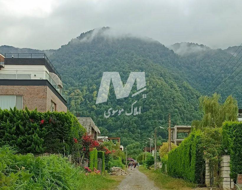 فروش قطعه ۳۰۰ متری چسبیده به جنگل آماده ساخت سند تک برگ | 300 متر