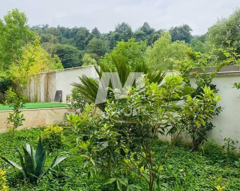 خرید ویلا در نور ۶۵۰ متری با مدارک کامل و ویوی جنگل گنجیاب | ۶۵۰ متر