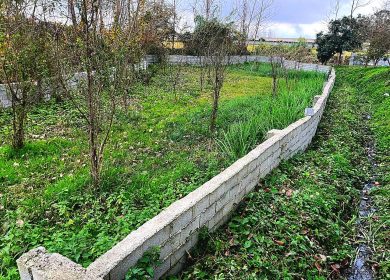 فروش ۸۰۰ متر زمین قابل تفکیک | ۸۰۰ متر