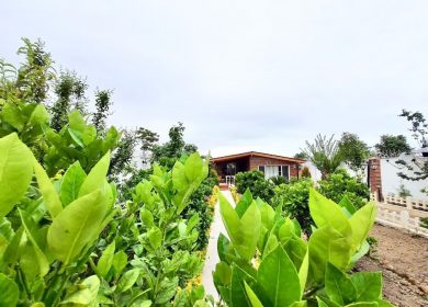 خرید ویلا باغ ۲۰۰ متری سرسبز سند دار جنگلی | ۲۰۰ متر