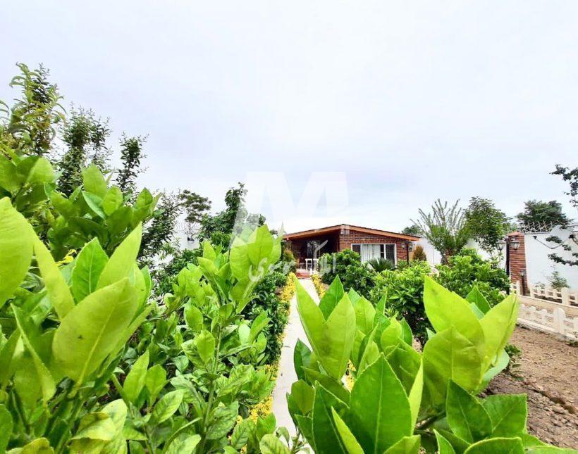 خرید ویلا باغ ۲۰۰ متری سرسبز سند دار جنگلی | ۲۰۰ متر