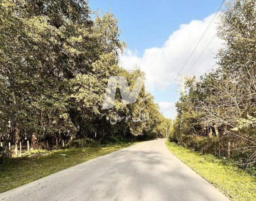 خرید ویلا باغ ۲۵۰ متری دو خوابه سند دار جنگلی | ۲۵۰ متر