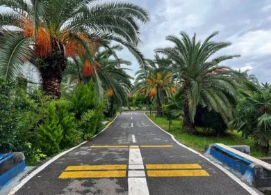 فروش زمین قطعات ۲۰۰ و ۳۰۰ متری شهرک برند آسفالته نور | ۳۰۰ متر