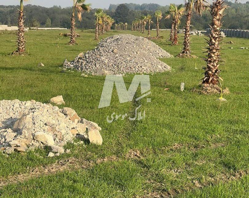 فروش زمین سند دار منطقه جاده دریا چمستان | 250 متر