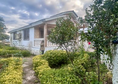 فروش ویلا باغ 550 متری | 550 متر