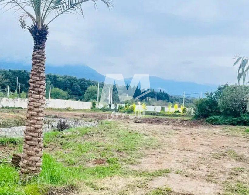 خرید زمین در نوشهر ۶۰۰ متری سند دار داخل بافت | ۶۰۰ متر