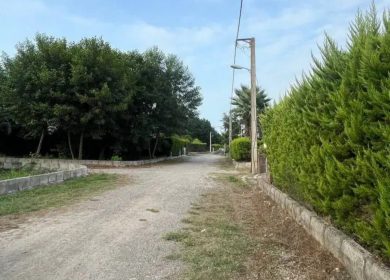 خرید زمین در رویان 300 متری شهرک قطعه جنگلی سند دار | 300 متر