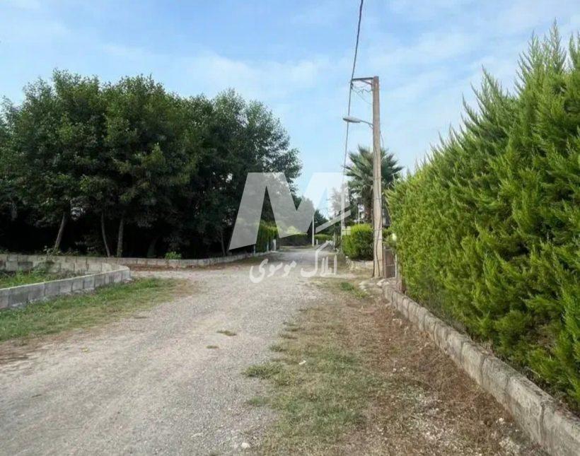 خرید زمین در رویان 300 متری شهرک قطعه جنگلی سند دار | 300 متر